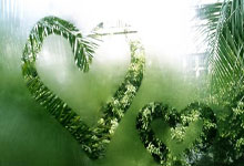 商标注册证号是哪一个,商标注册号在哪个位置图片